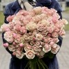 Кустовая пионовидная роза Дестини 50 см