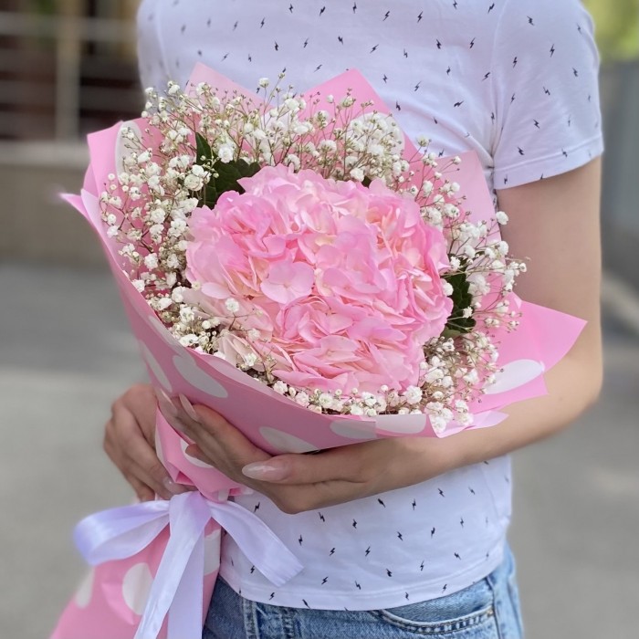 Розовая гортензия с гипсофилой