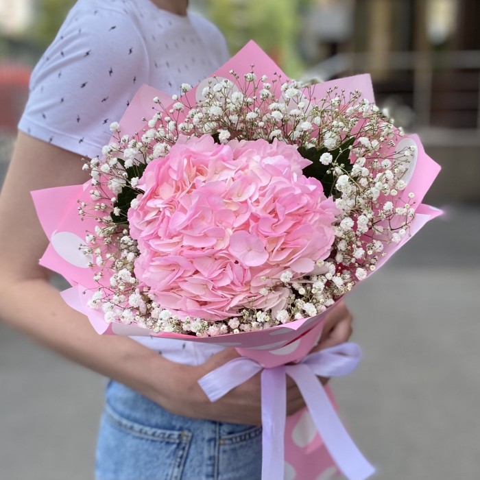 Розовая гортензия с гипсофилой