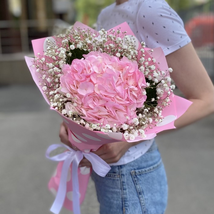 Розовая гортензия с гипсофилой