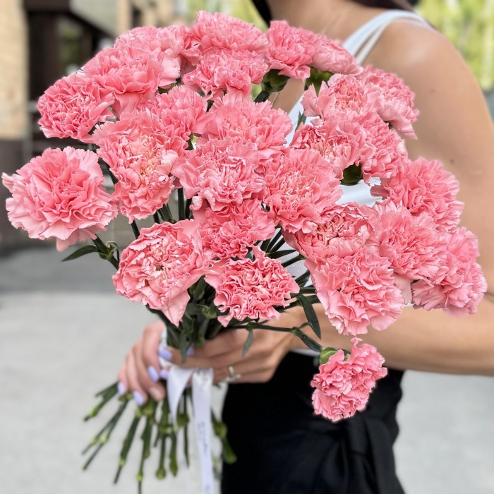 Гвоздика розовая (Pink Pomerosa)