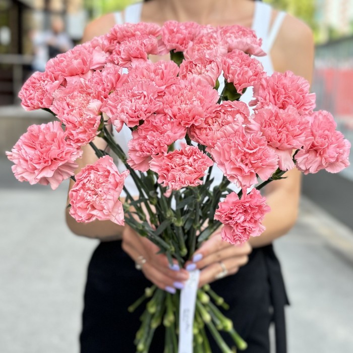 Гвоздика розовая (Pink Pomerosa)