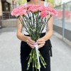 Гвоздика розовая (Pink Pomerosa)