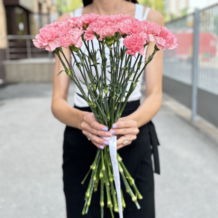 Гвоздика розовая (Pink Pomerosa)