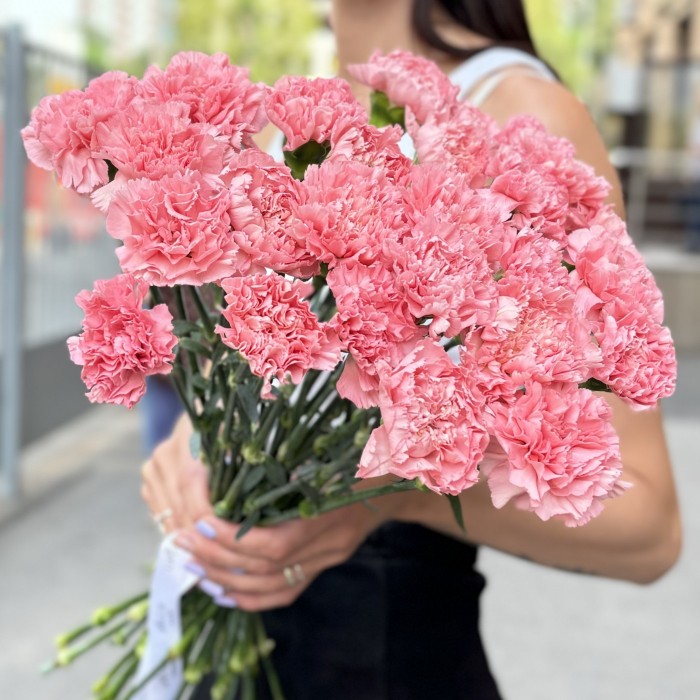 Гвоздика розовая (Pink Pomerosa)