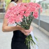 Гвоздика розовая (Pink Pomerosa)