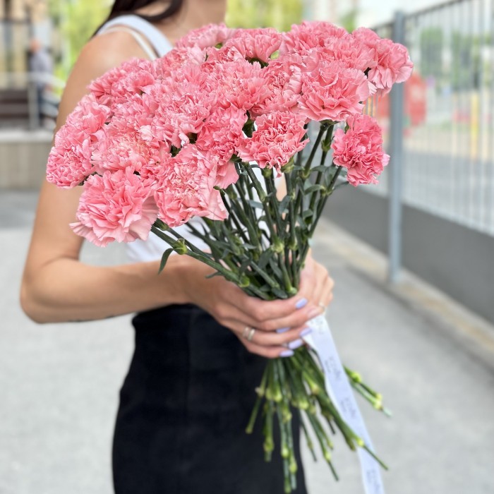 Гвоздика розовая (Pink Pomerosa)