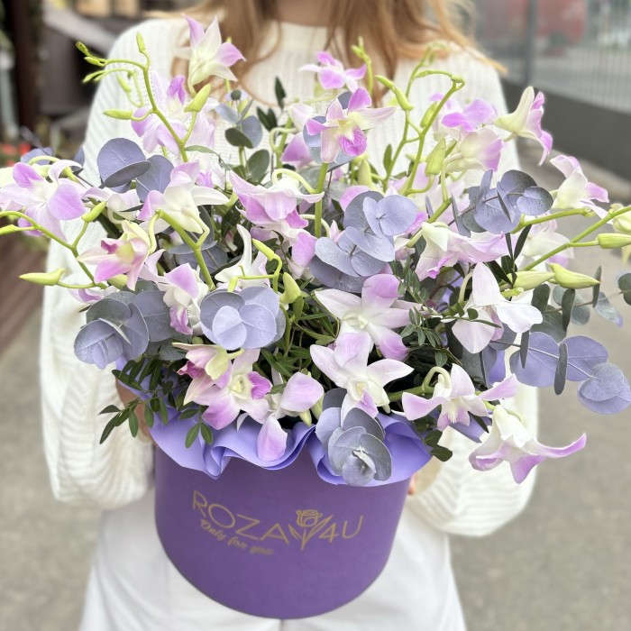 Розовая орхидея дендробиум в коробке