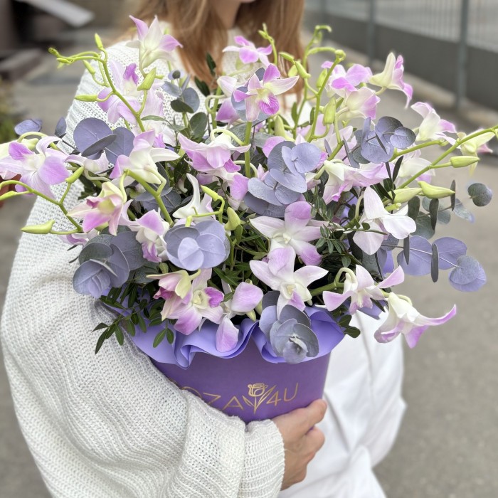 Розовая орхидея дендробиум в коробке