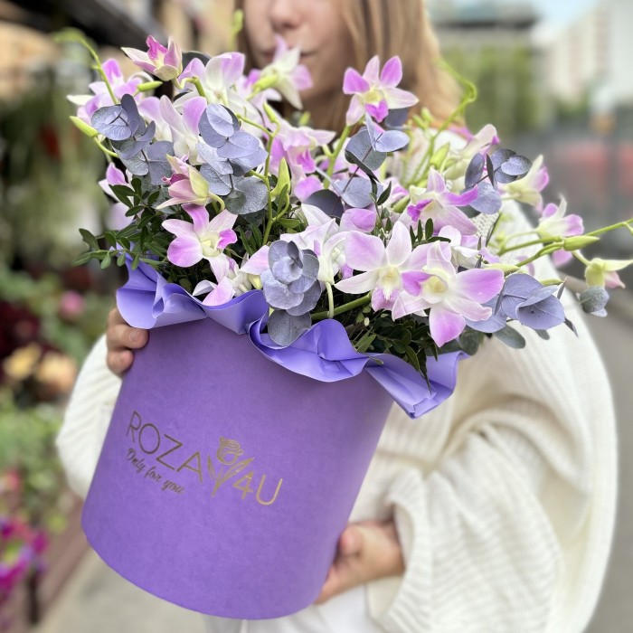 Розовая орхидея дендробиум в коробке