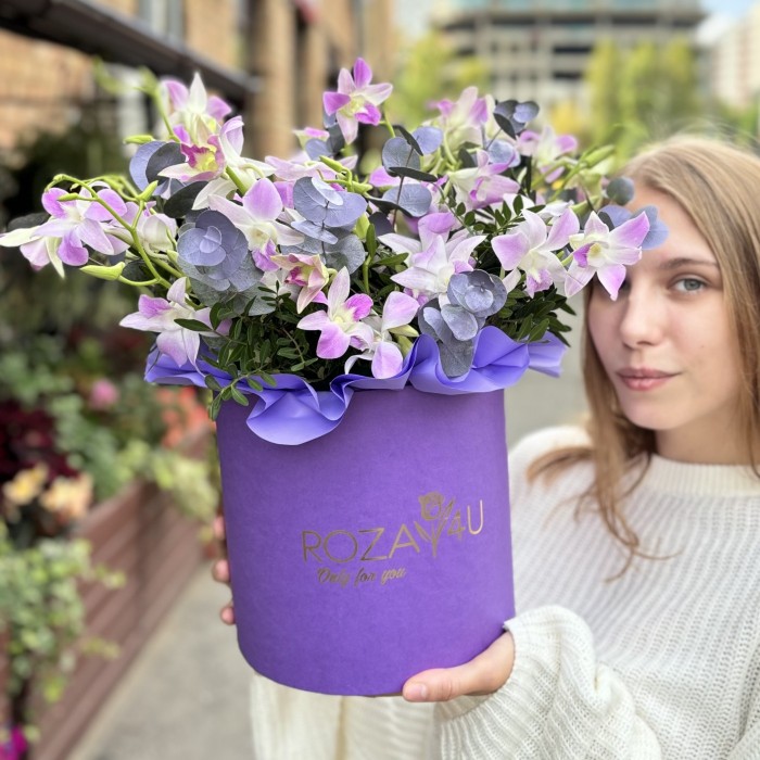 Розовая орхидея дендробиум в коробке