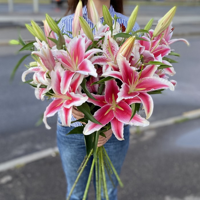 Розовые лилии