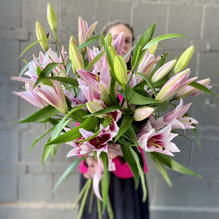 Розовые лилии
