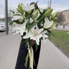 Лилии