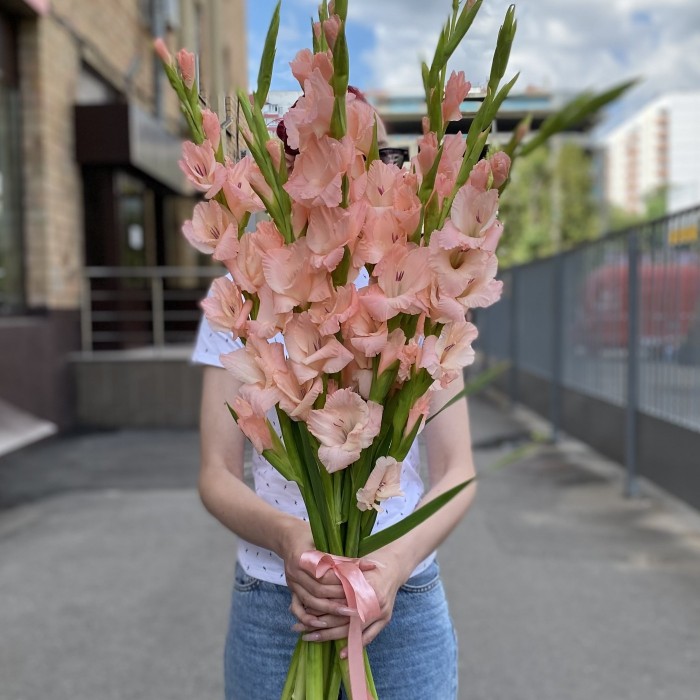 Гладиолус розовый