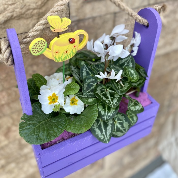 Мини-садик с горшечными растениями в сиреневом ящике