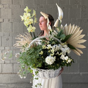 Корзина с горшечными растениями Райский сад