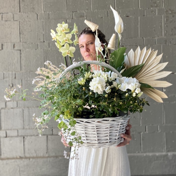 Корзина с горшечными растениями Райский сад