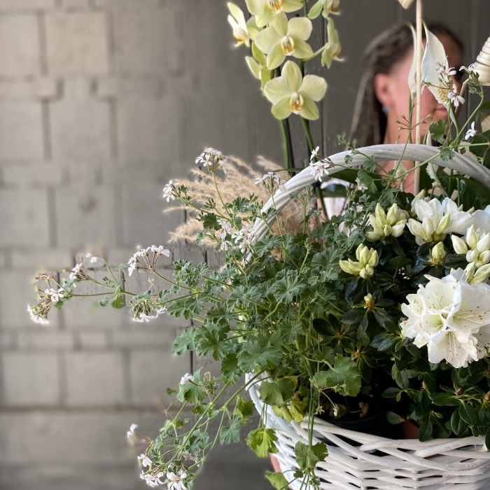 Корзина с горшечными растениями Райский сад