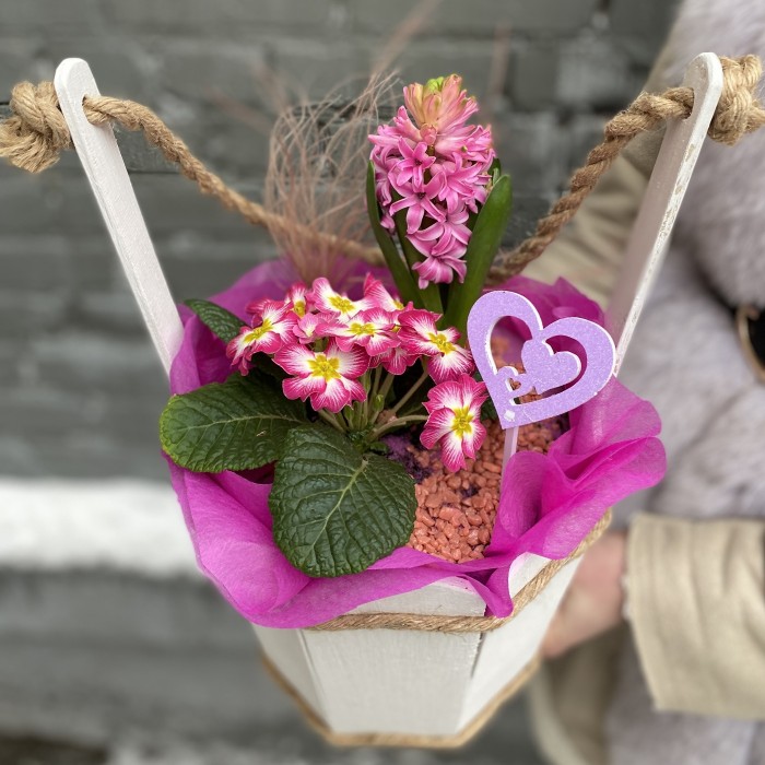 Мини-садик с примулой и гиацинтом