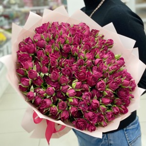 51 малиновая кустовая роза Шайенн 40см