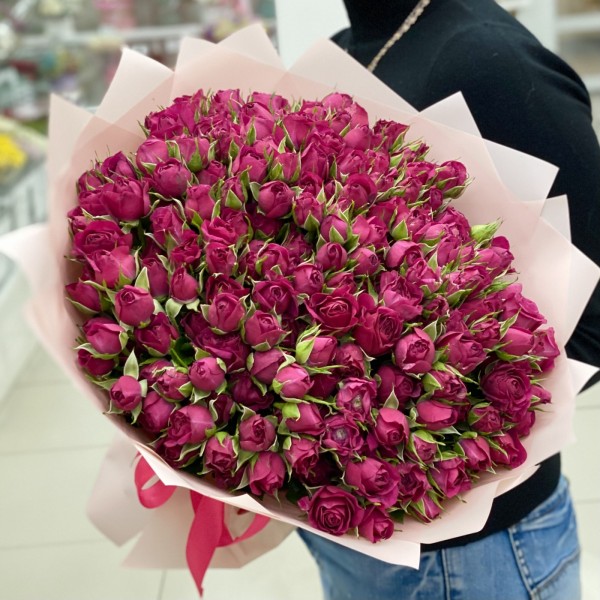 51 малиновая кустовая роза Шайенн 40см