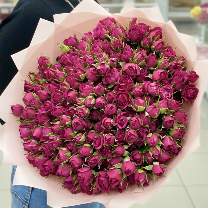 51 малиновая кустовая роза Шайенн 50 см