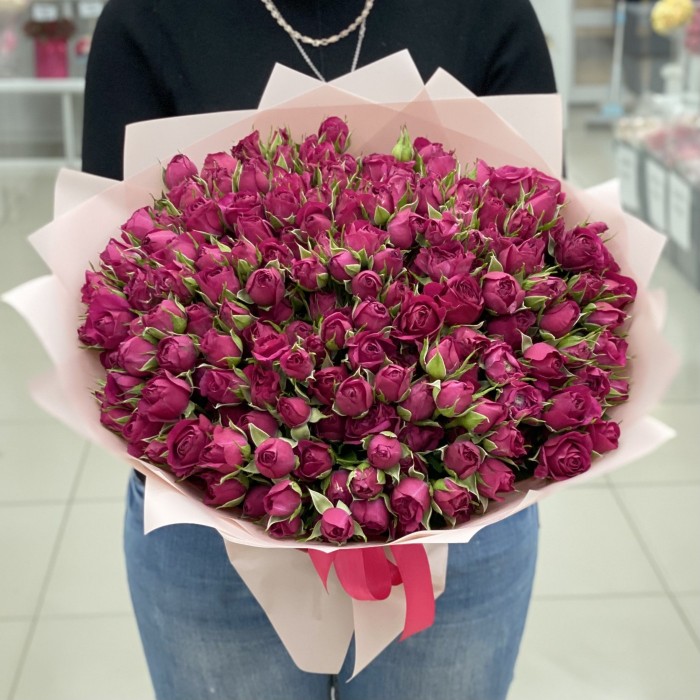51 малиновая кустовая роза Шайенн 40см