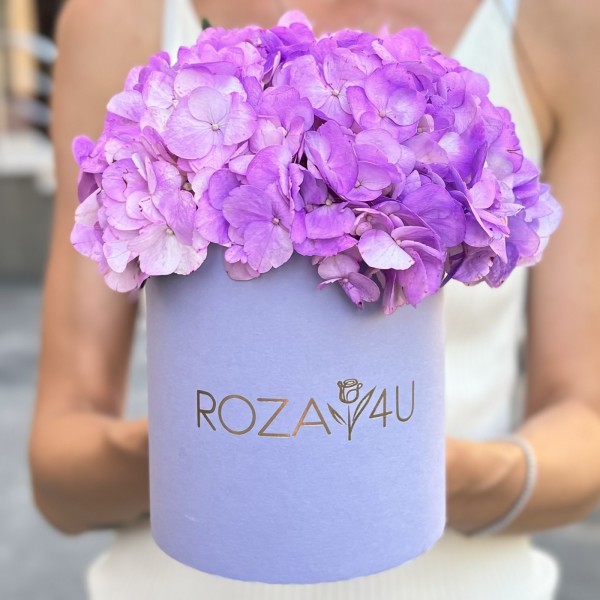 Сиреневая гортензия в коробке
