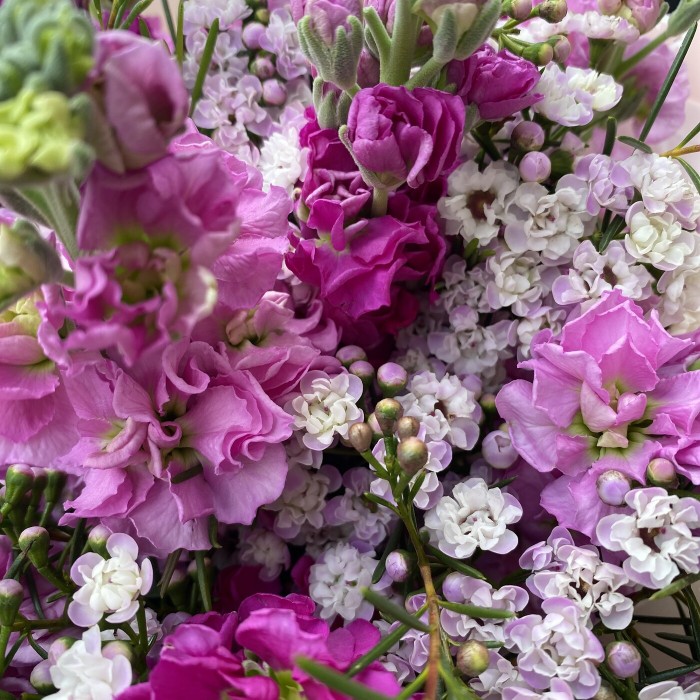 Букет из розовых маттиол