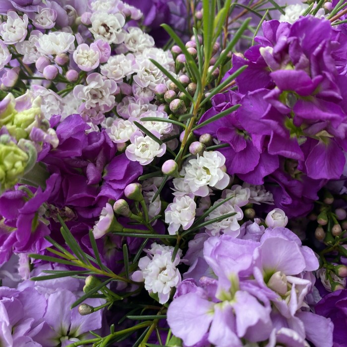 Букет из фиолетовых маттиол