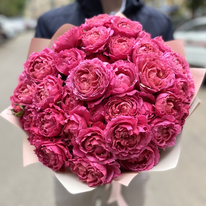 Вишневая Джульетта