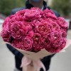 Вишневая Джульетта