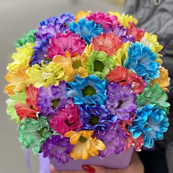 Разноцветные хризантемы в сиреневой коробке