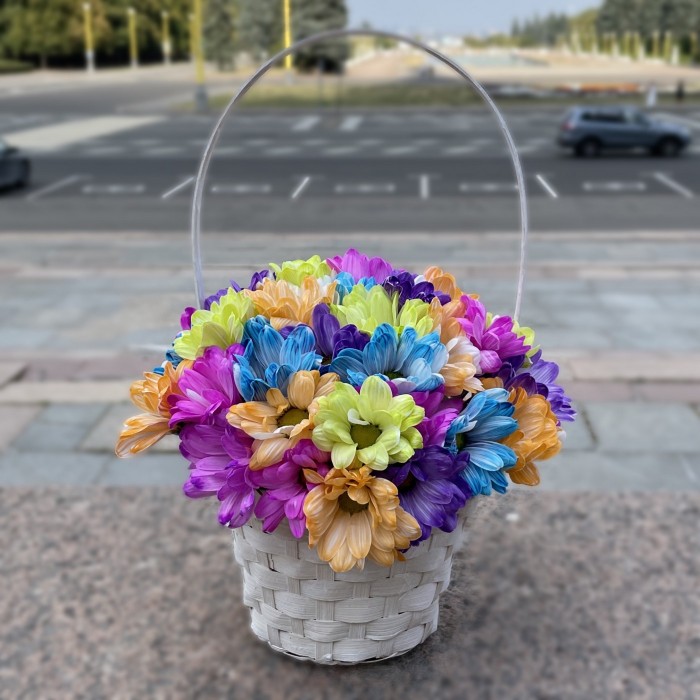 Радужные хризантемы в белой корзинке