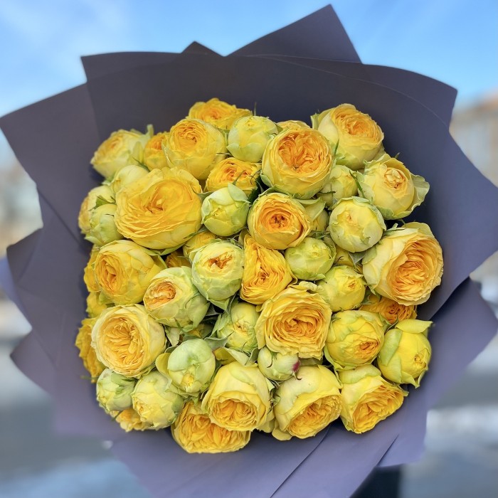 Розы пионовидные солнечные Sunny Trendsetter