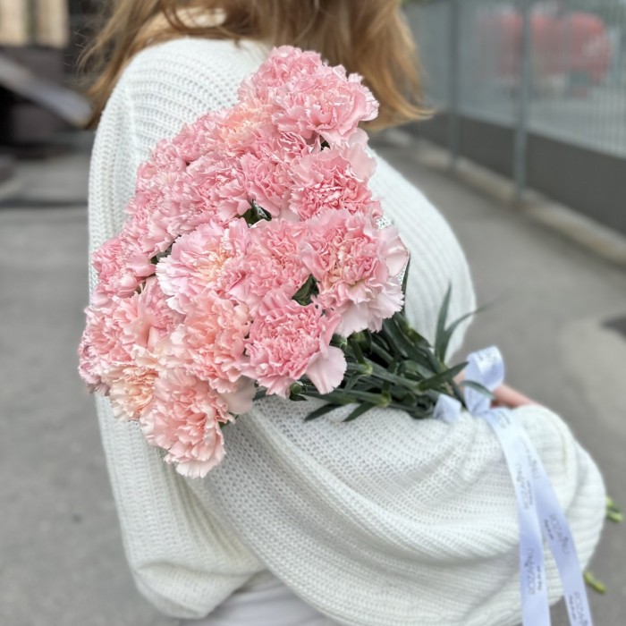 Гвоздика нежно-розовая