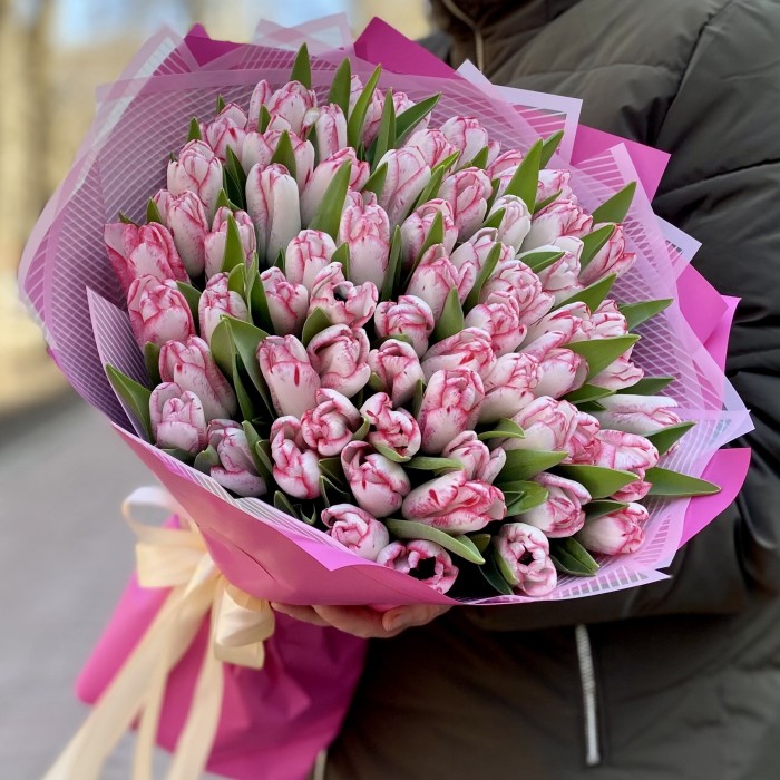 101 бело-розовый тюльпан