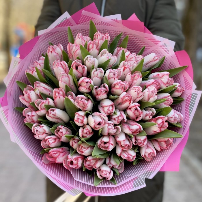 101 бело-розовый тюльпан