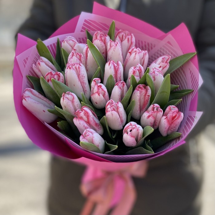 25 бело-розовых тюльпанов