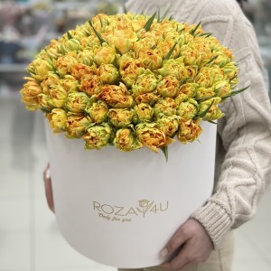 101 пионовидный тюльпан Орка в коробке