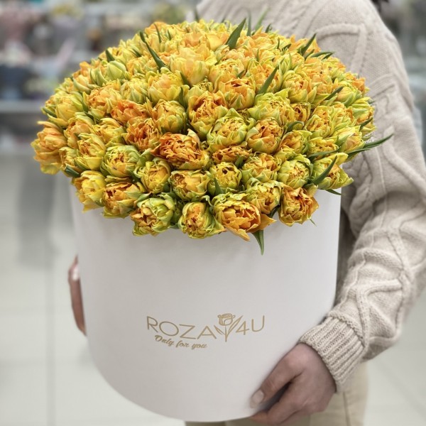 101 пионовидный тюльпан Орка в коробке