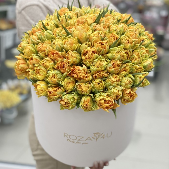 101 пионовидный тюльпан Орка в коробке