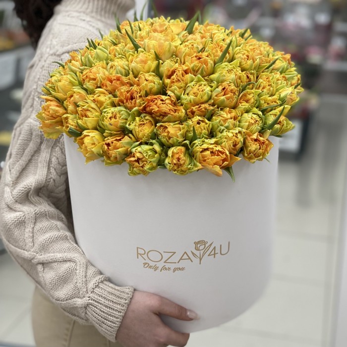 101 пионовидный тюльпан Орка в коробке