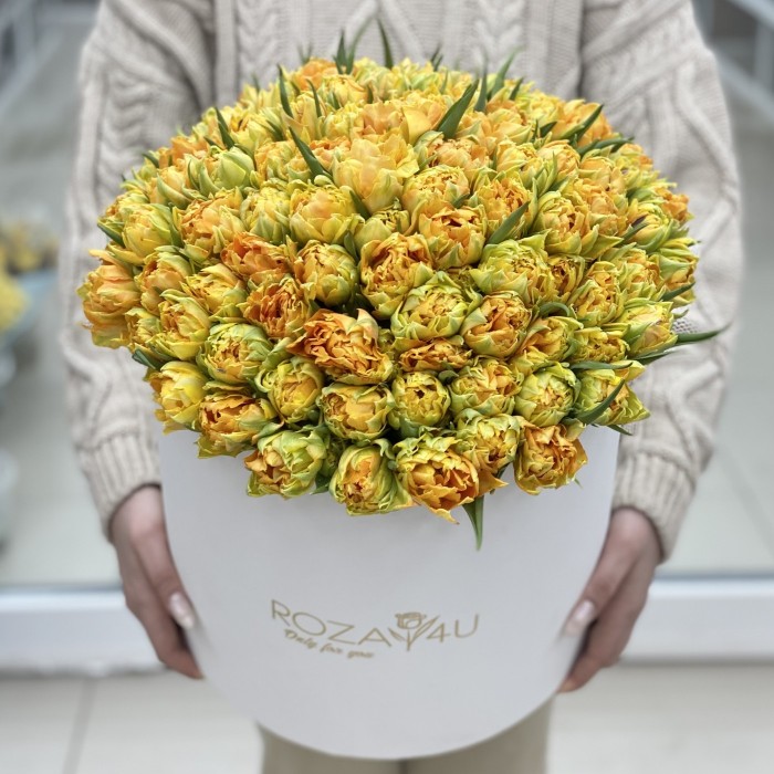 101 пионовидный тюльпан Орка в коробке