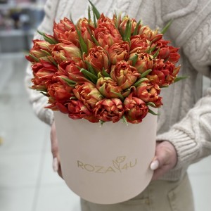 25 оранжевых тюльпанов Абба в коробке