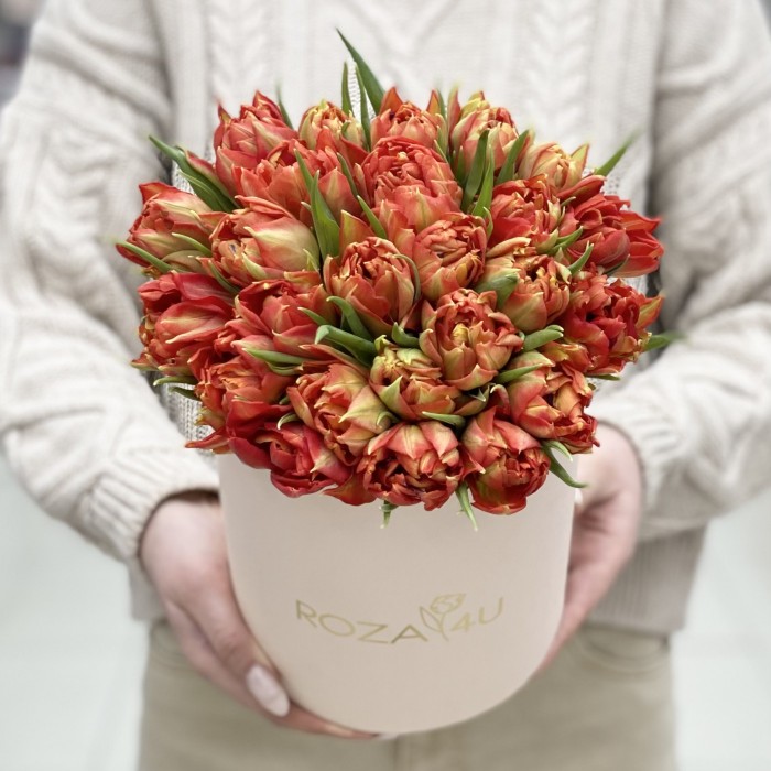 25 оранжевых тюльпанов Абба в коробке