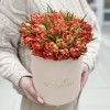 25 оранжевых тюльпанов Абба в коробке