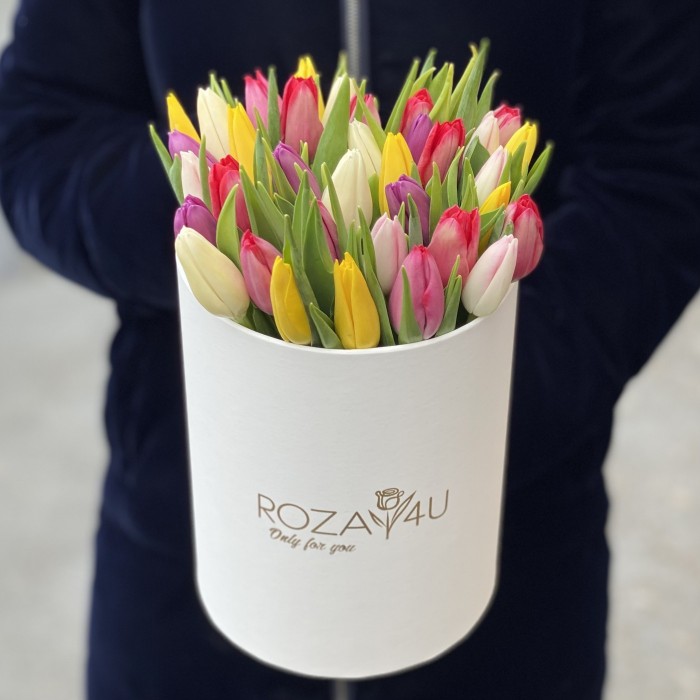 35 тюльпанов микс в белой коробке