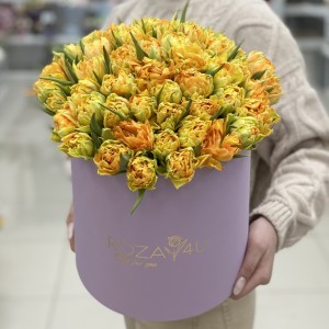 51 желтый пионовидный тюльпан Орка в коробке
